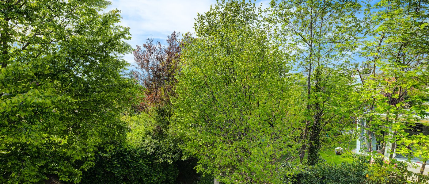 联排别墅 München Westpark 03 景观 5296