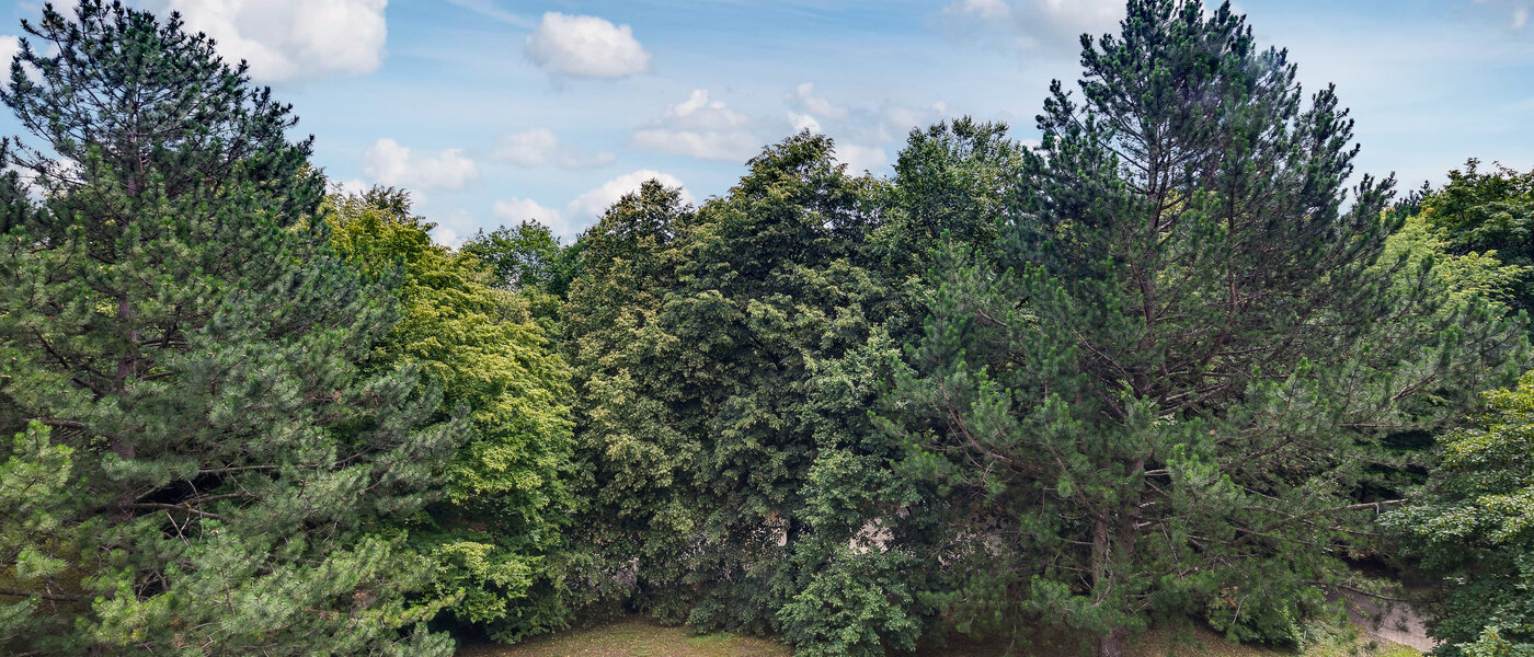 公寓 München Moosach 01 景观 5951