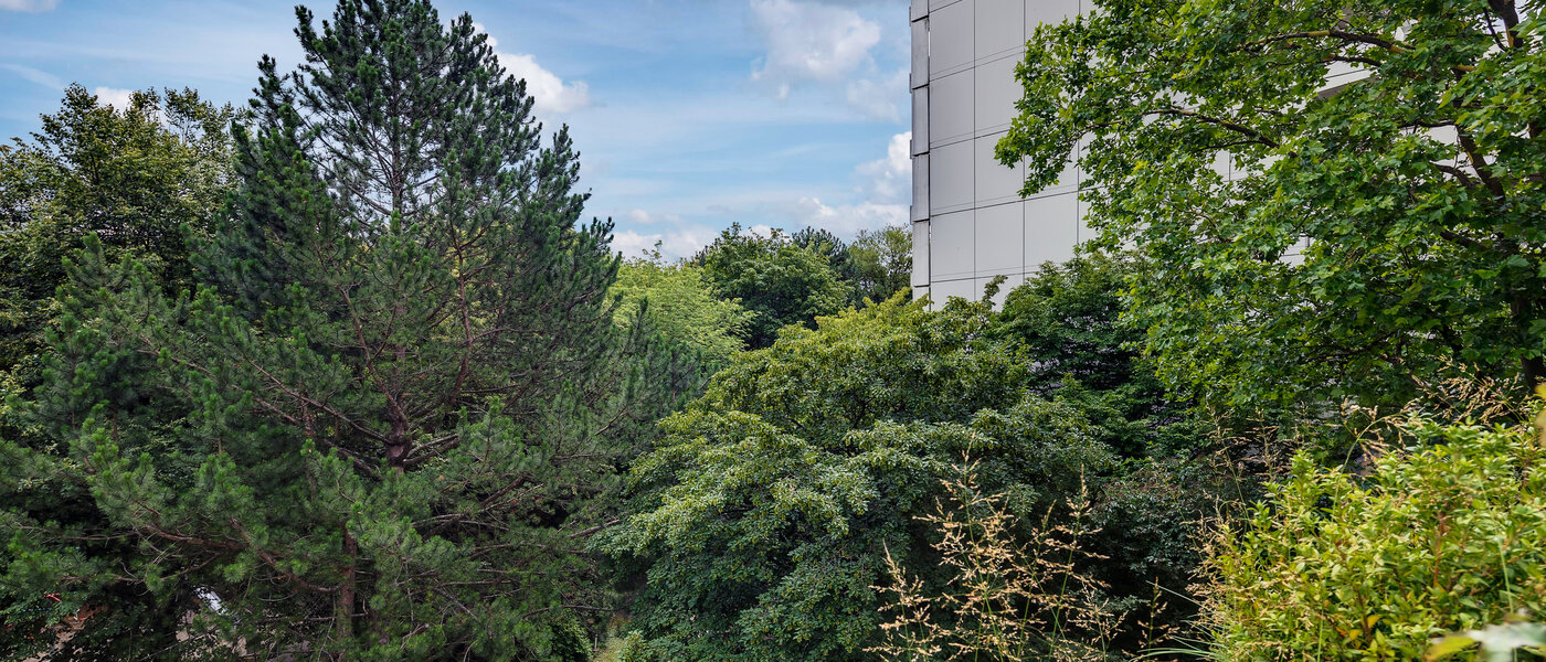 公寓 München Moosach 03 景观 5951