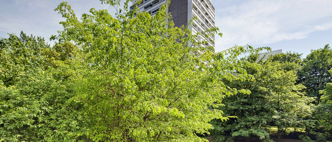 公寓 München Arabellapark 01 景观 6126