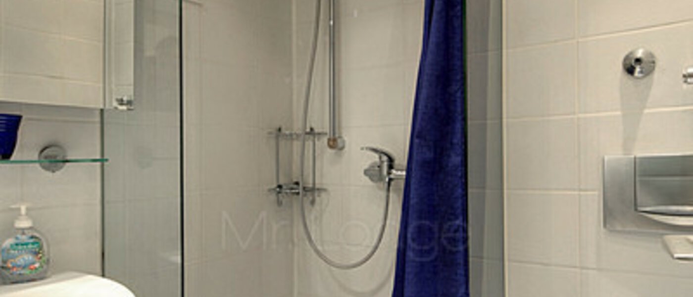 租用公寓 München Maxvorstadt - Universitätsviertel 02 卫生间 792