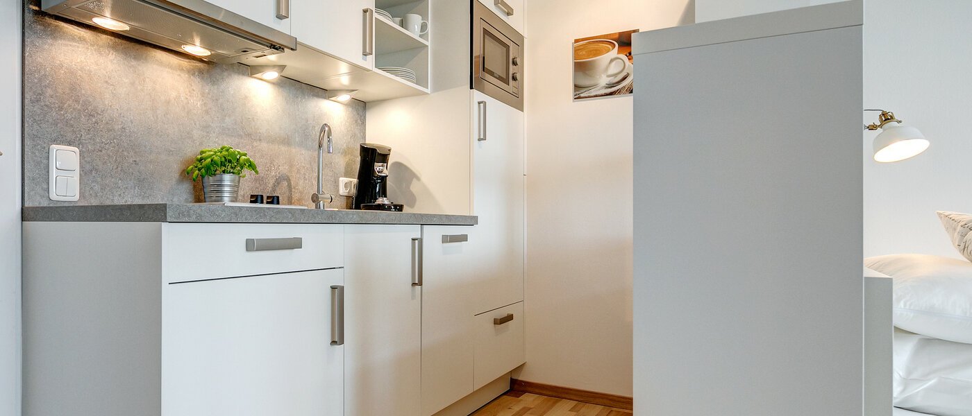 租用公寓 München Haidhausen 02 厨房 8801