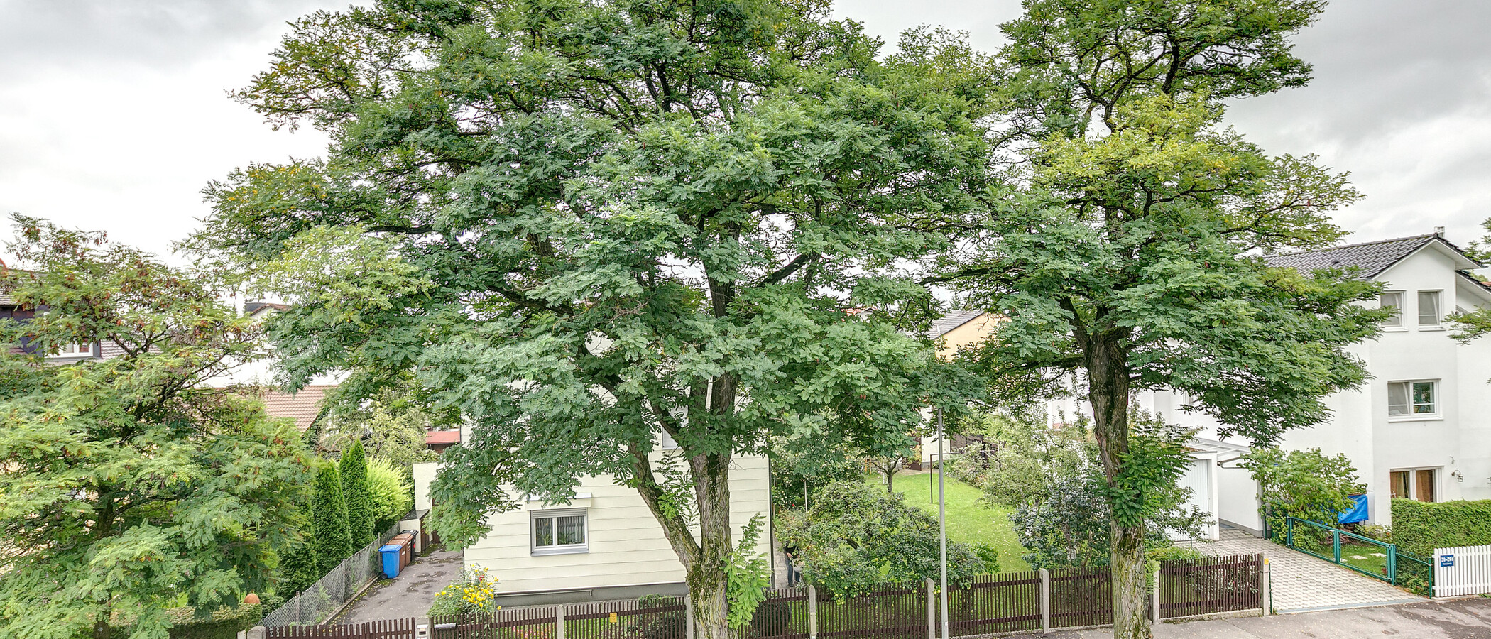 房子 München Freimann 02 景观 8852