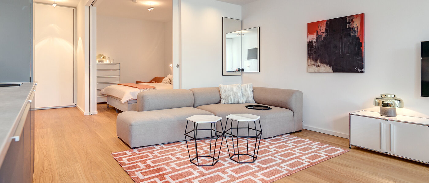 公寓 München Schwabing (rechts der Leopoldstraße) 02 客厅 9521