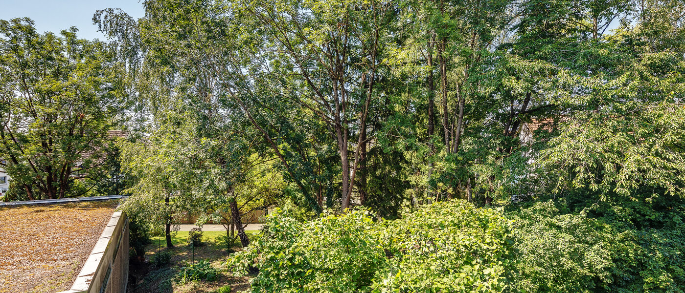 公寓 München Moosach 02 景观 9941