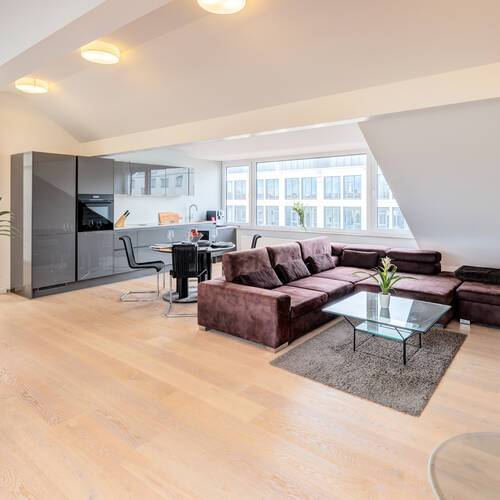 阁楼公寓 与 2 房间 | 慕尼黑-Maxvorstadt | 14568