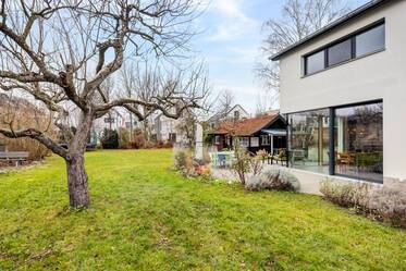 现代宽敞的建筑师设计住宅出租 