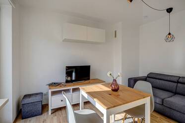 明亮的两室公寓，带大型屋顶露台
