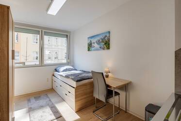 布置精美的 租用公寓 在 Maxvorstadt