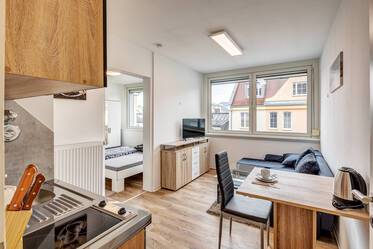 布置精美的 租用公寓 在 Maxvorstadt