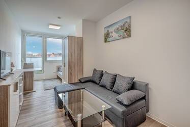 布置精美的 阁楼公寓 在 Maxvorstadt