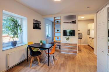 Tegernsee现代一室公寓出租