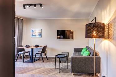 布置精美的 公寓 在 Giesing