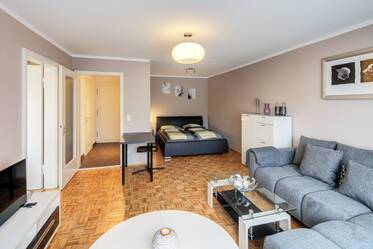 带家具的宽敞现代化单间公寓