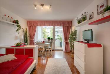 交通便利的市中心公寓