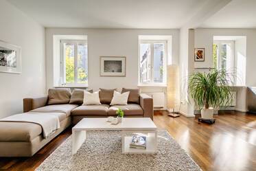 布置非常精美的 公寓 在 Ludwigsvorstadt