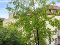 公寓 München Schwabing-West 02 景观 14894