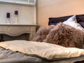 公寓 München Schwabing-West (rund um den Hohenzollernplatz) 02 睡眠区 9957