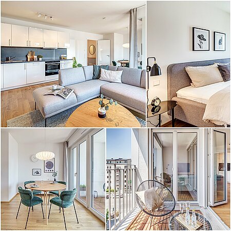 ID 12517: 伊萨尔河附近的新建筑首次启用